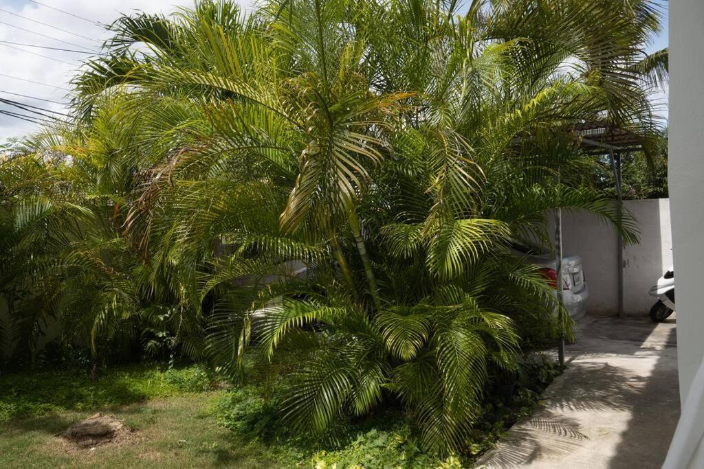 Villa Caribe Bayahibe Exterior foto